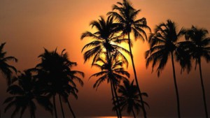 Places in South Goa to visit