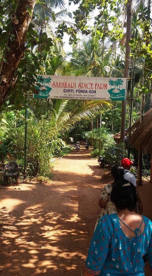 Best places to visit in Goa with the family 1