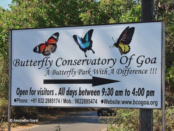 Best places to visit in Goa with the family 5