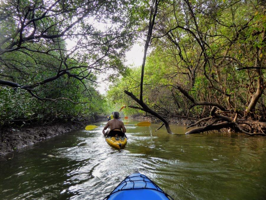 Kayaking in Goa 3