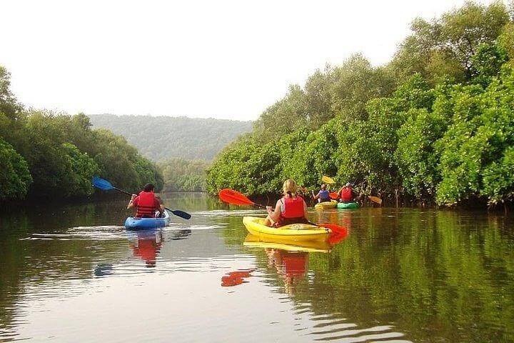 Kayaking in Goa 4