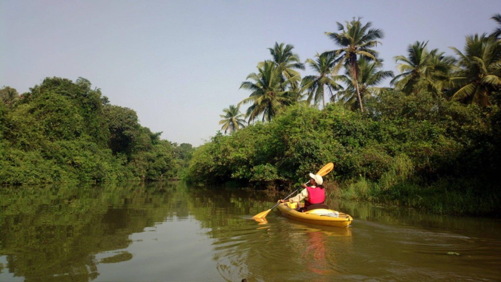 Kayaking in Goa 8