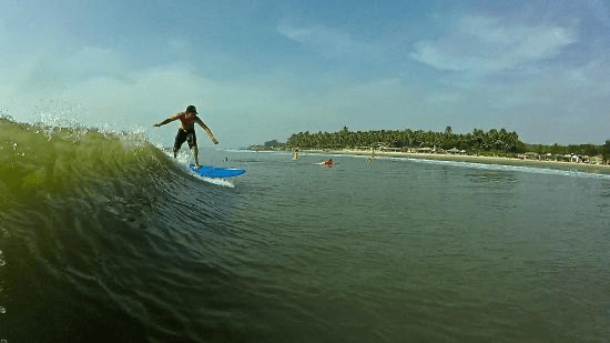 Surfing in Goa 2