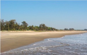 Nude Beaches Of Goa - All About Goa
