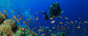 Scuba Diving in Goa 1 1