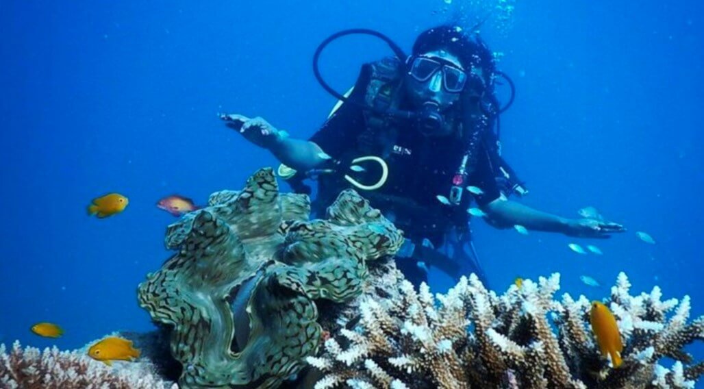 Best Places For Scuba Diving In Goa All About Goa