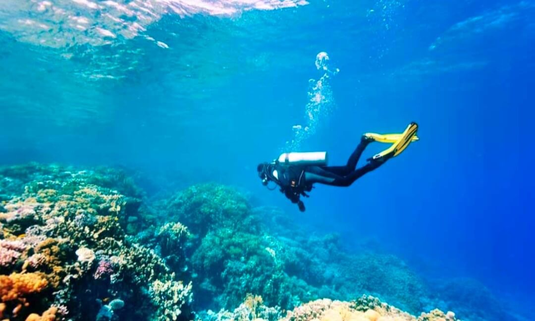 Best Places For Scuba Diving In Goa All About Goa