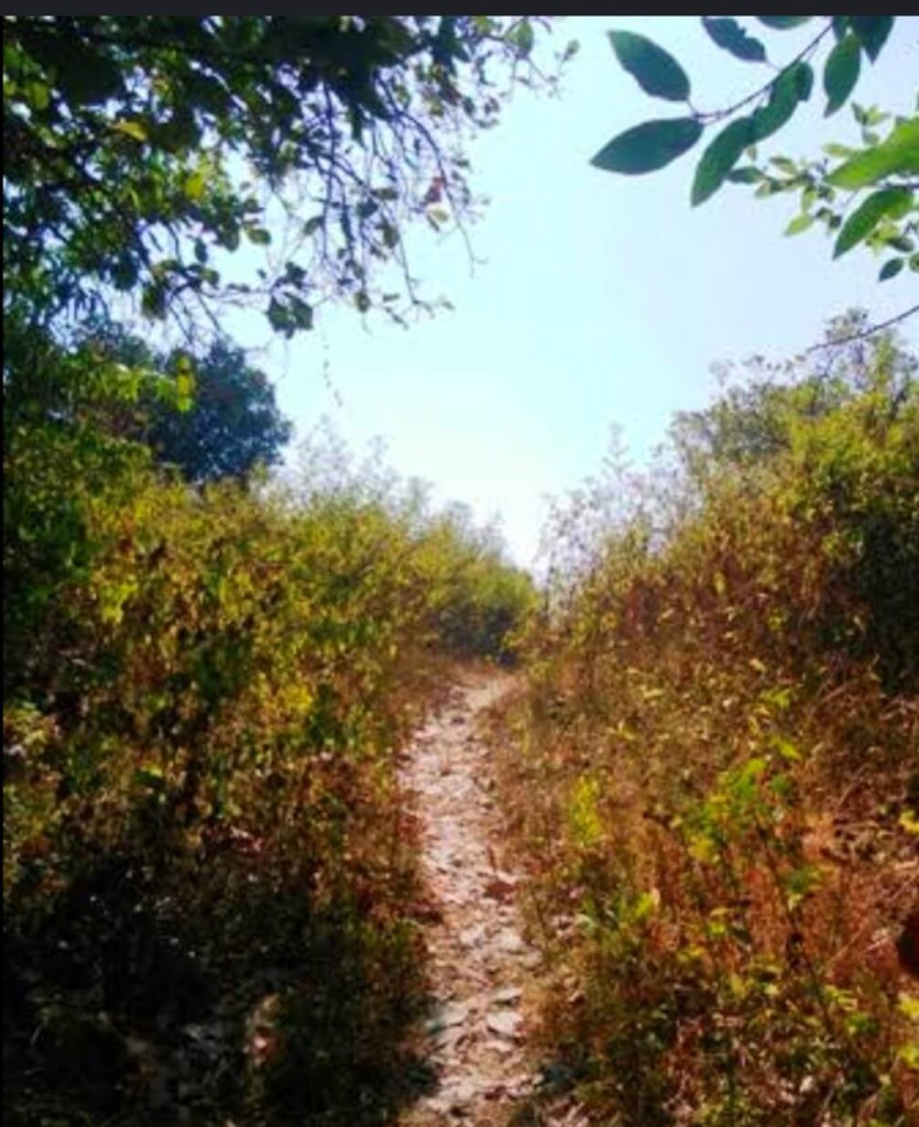 Trekking trails of Goa 2