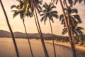 Why choose February for your Goa trip