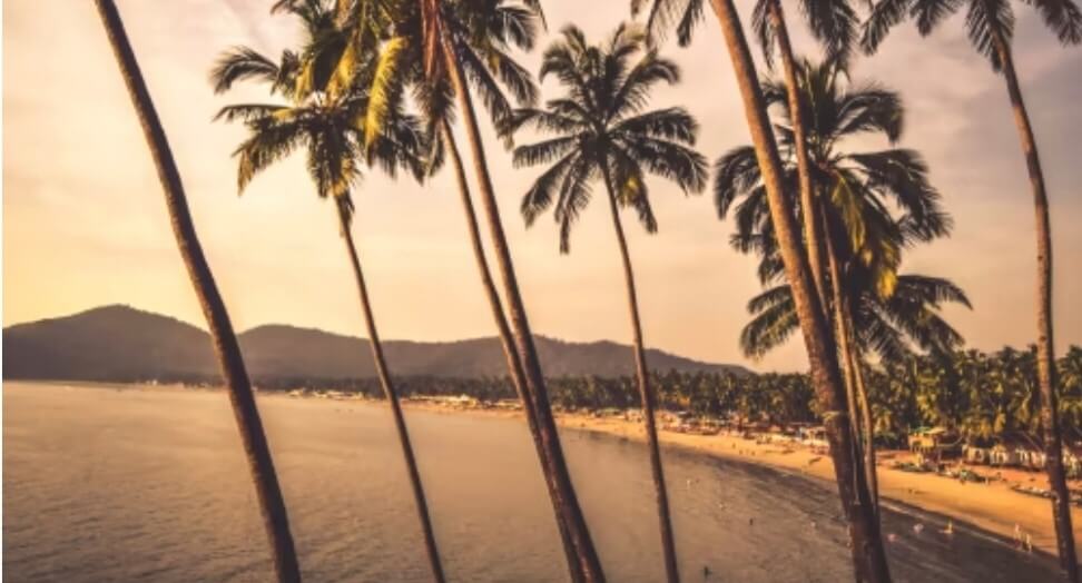 Why choose February for your Goa trip