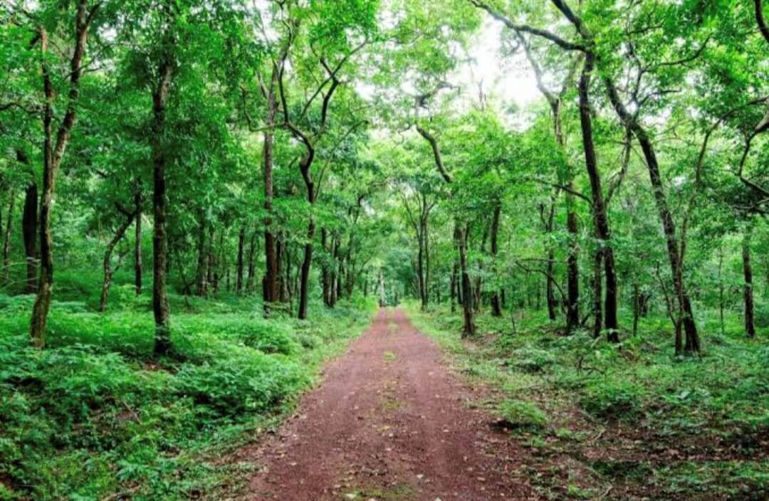 Weather in july in goa