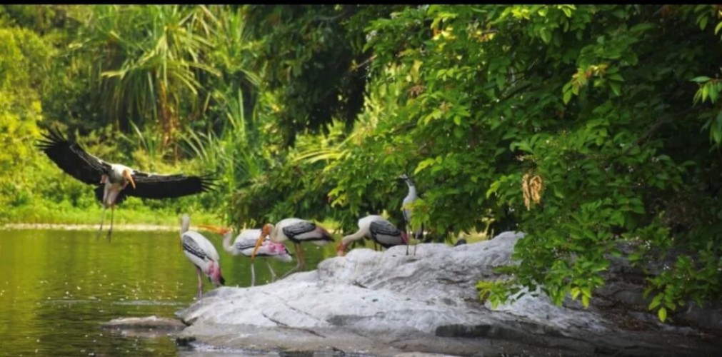 Goa In May Why To Visit Goa In May 2024 Month - Things To Do & Places To Visit On Trip