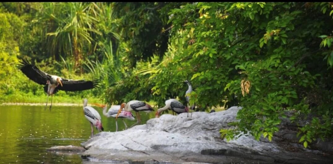 Goa In May Why To Visit Goa In May 2024 Month - Things To Do & Places To Visit On Trip