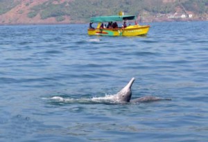 Goa In May Why To Visit Goa In May 2024 Month - Things To Do & Places To Visit On Trip