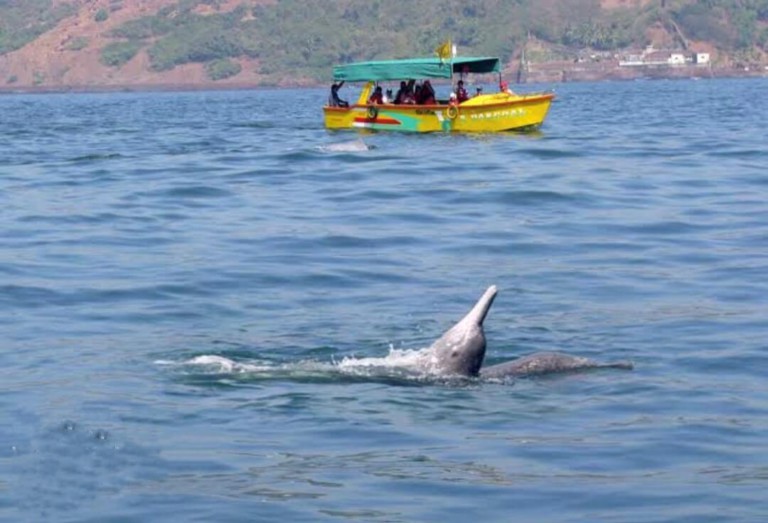 Goa In May Why To Visit Goa In May 2024 Month - Things To Do & Places To Visit On Trip