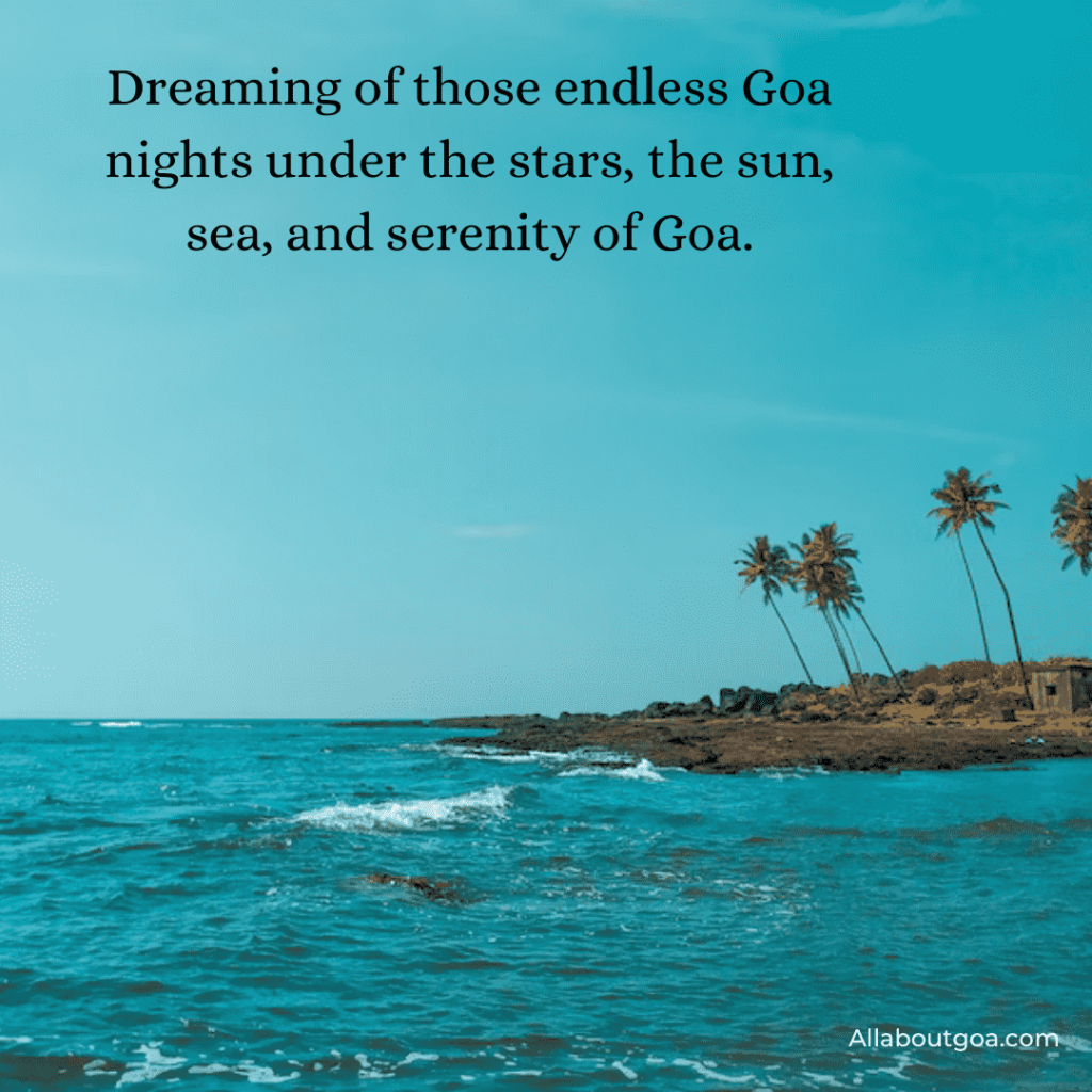 Missing Goa Quotes