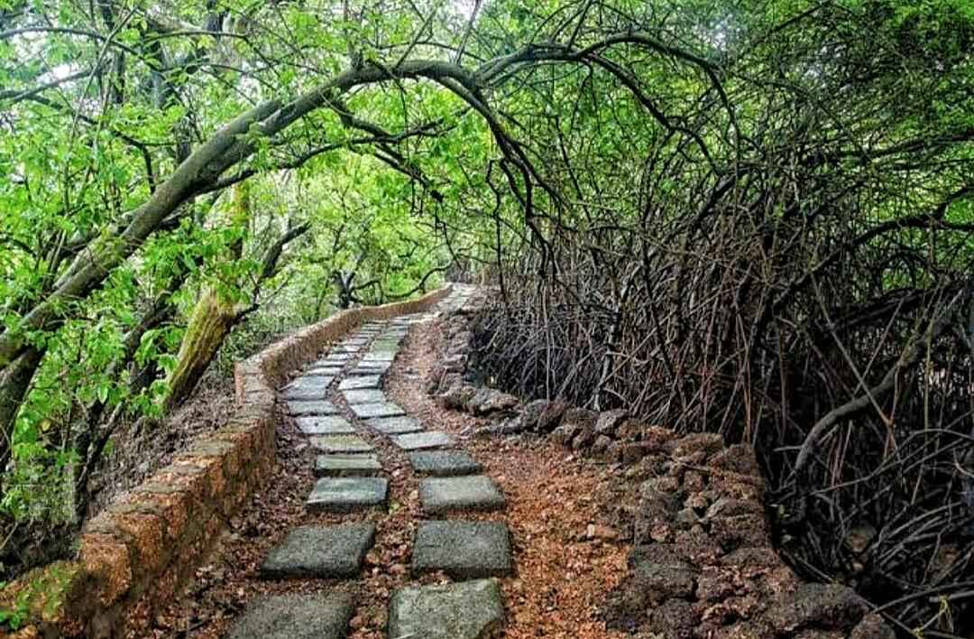 Bambolim Beach How To Reach, Best Time & Tips All About Goa