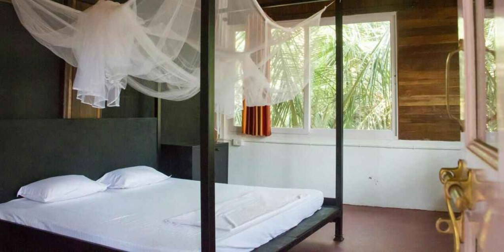 Dream Hostel Goa 5