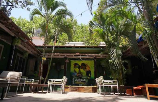 the jungle hostel goa