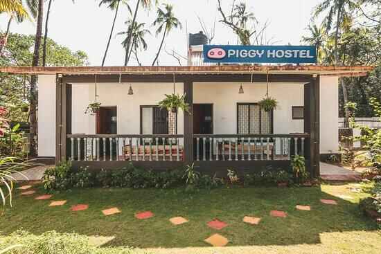 Piggy Hostel Goa 5