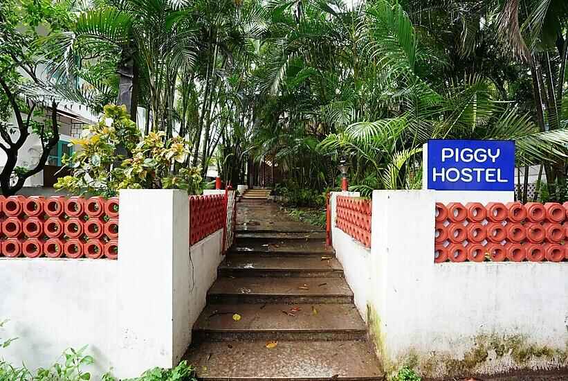 Piggy Hostel Goa 9