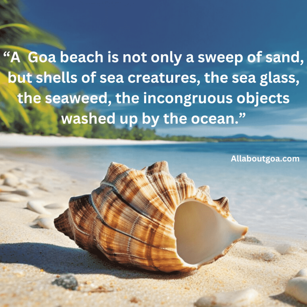 goa beach quotes