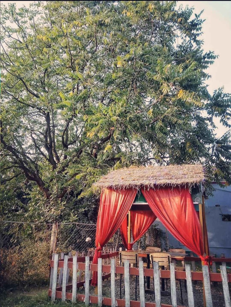 Best Private Cabin Cafe And Restaurant For Couples In Gwalior 12