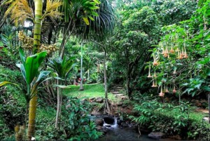 Top 9 Nude Beaches In Hawai - All Details