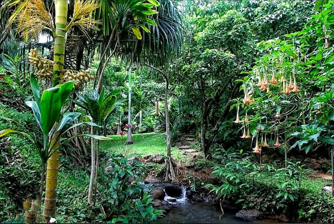 Top 9 Nude Beaches In Hawai - All Details