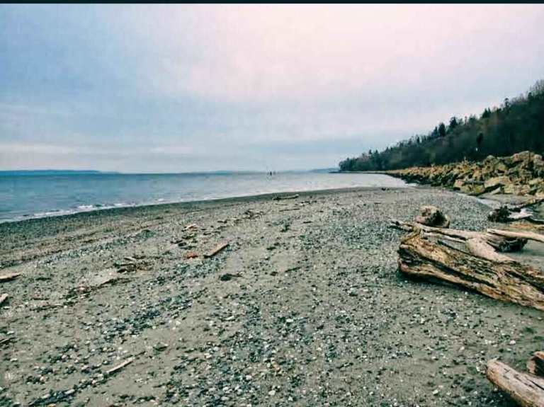 Top 3 Nude Beaches Of Washington