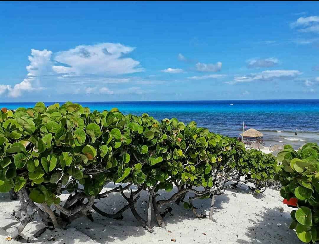 nude beaches in Cancun 2