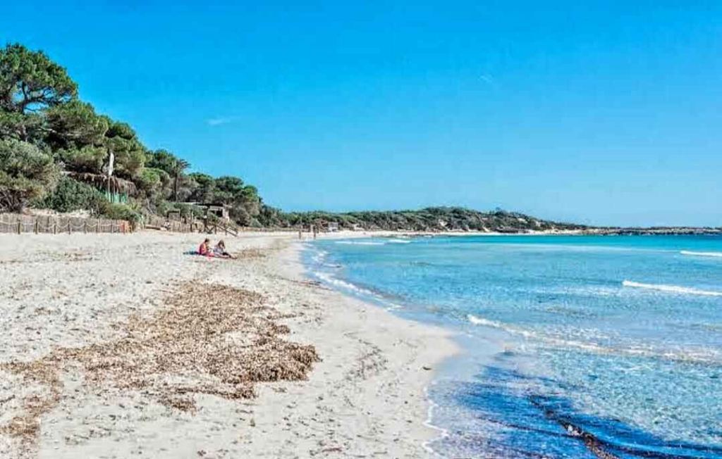 nude beaches in Ibiza 20