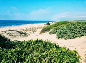 Top 8 Nude Beaches In Italy