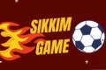 skiim game