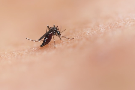 Malaria remains a formidable global health challenge