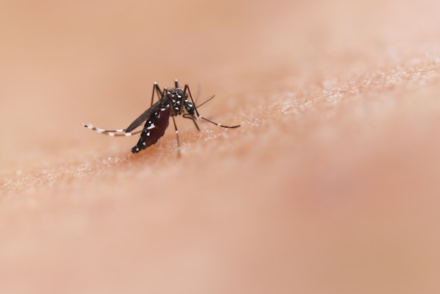 Malaria remains a formidable global health challenge