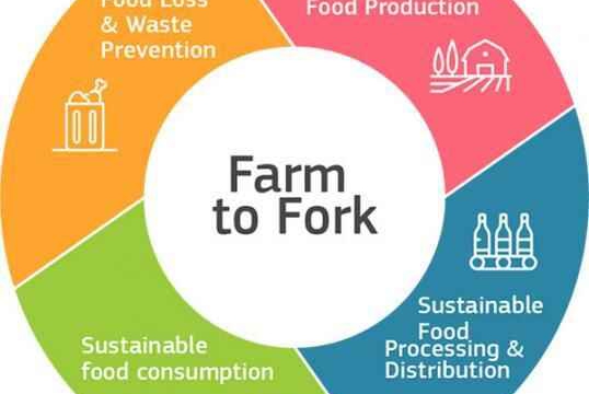 farm to fork 1